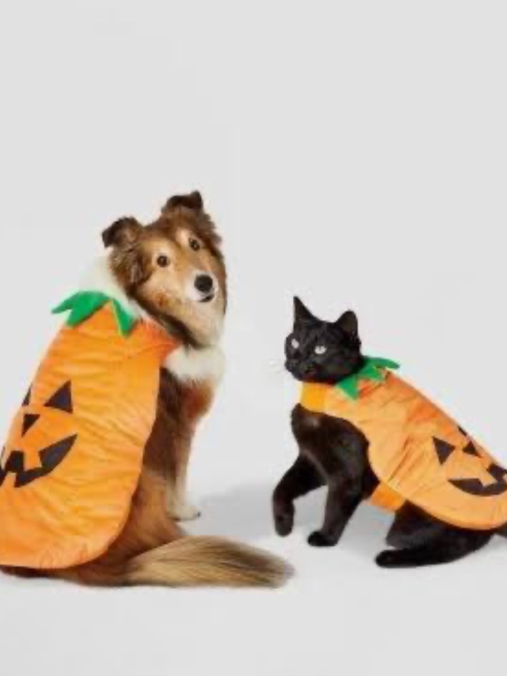 Pumpkin Jack-O'-Lantern Pet Cape for Cats and Dogs